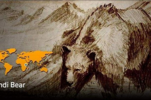 Bear nandy: съществува ли всъщност този звяр?